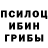 Галлюциногенные грибы мицелий Nassty