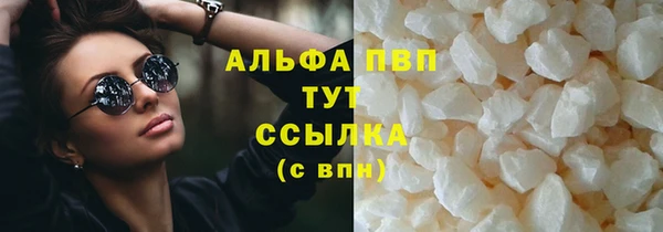эйфоретик Богданович