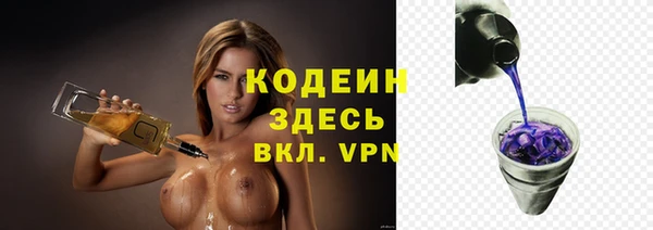 эйфоретик Богданович