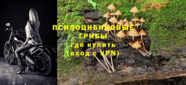 COCAINE Богородск