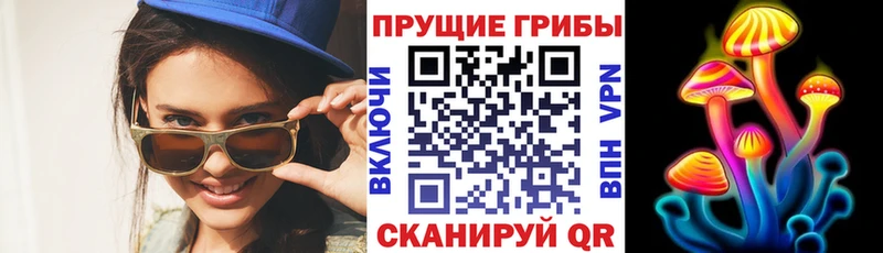 что такое   Волжск  Галлюциногенные грибы прущие грибы 