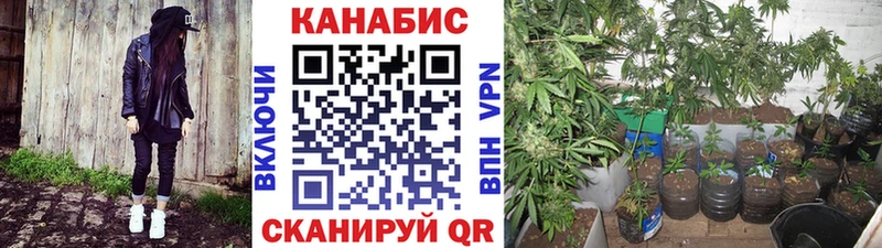 Каннабис конопля  даркнет сайт  Волжск 